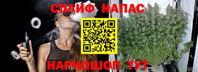 мет Ливны