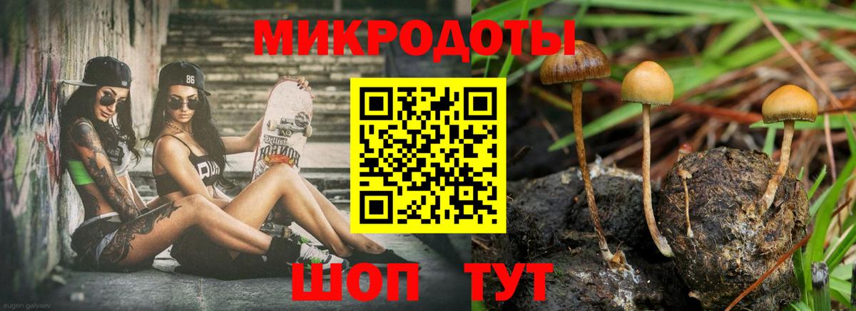 Псилоцибиновые грибы Psilocybine cubensis  Галлюциногенные грибы мицелий  Людиново  Вход с VPN 