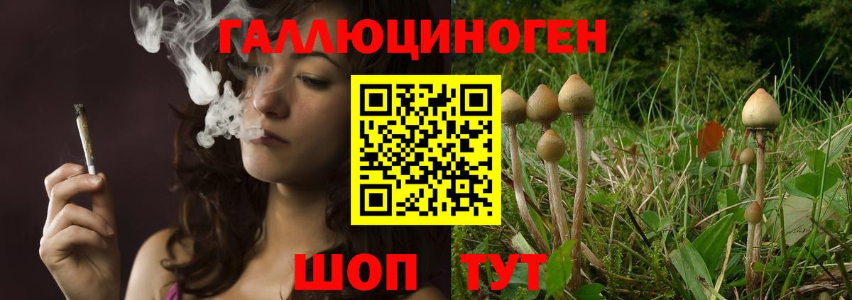 Галлюциногенные грибы прущие грибы Людиново
